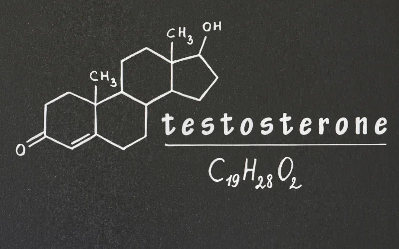 Testosterone